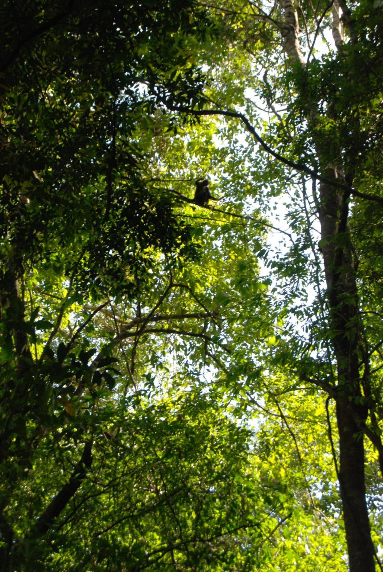 Finca Vallescondido El Caobano Eksteriør billede