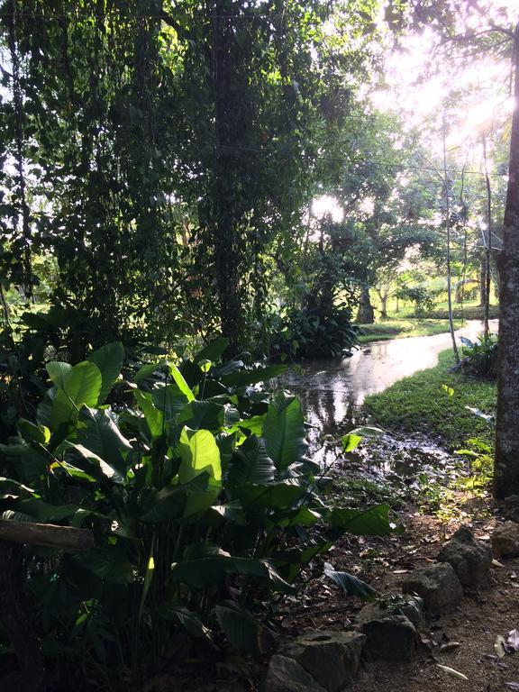 Finca Vallescondido El Caobano Eksteriør billede