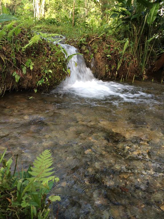 Finca Vallescondido El Caobano Eksteriør billede